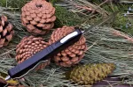 Microtech Combat Troodon — изображение 5