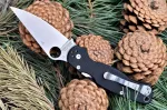 Spyderco Paramilitary 2 C81 — изображение 4