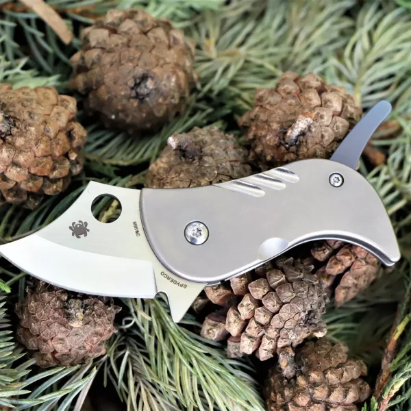 Нож Spyderco Pochi C256TIP