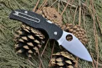 Нож Spyderco Sage 5 C123 — изображение 2