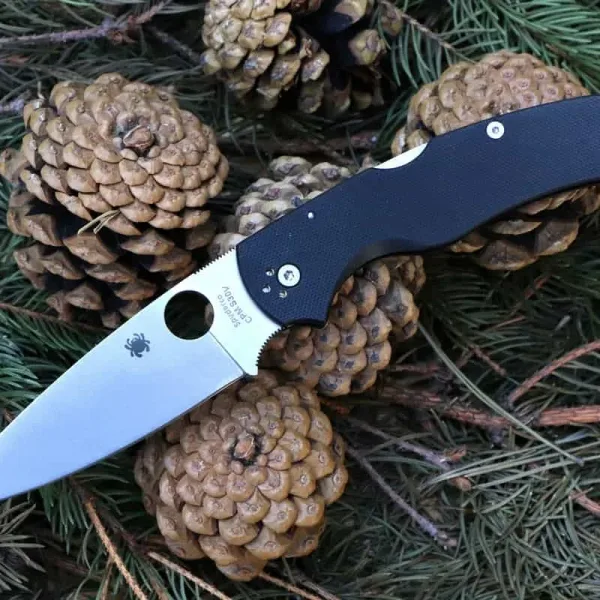 Нож Spyderco Native Chief C244