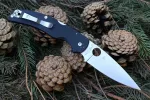 Нож Spyderco Native Chief C244 — изображение 2