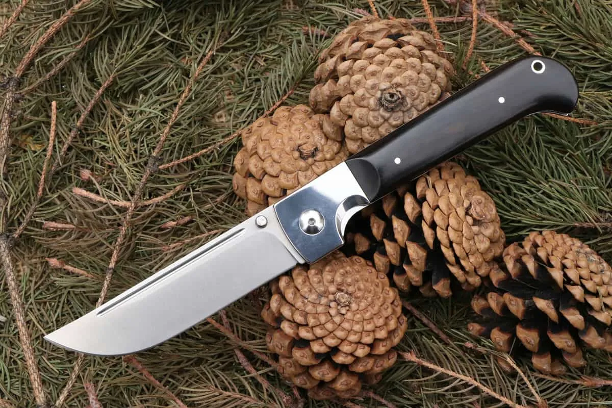 Нож пчак — изображение 1