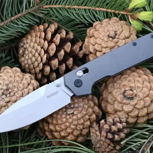 Kershaw Iridium 2038