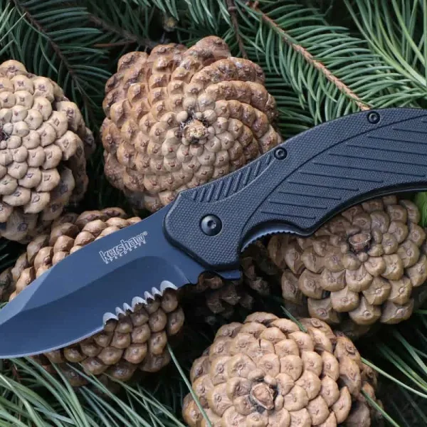 Kershaw 1605CKTST