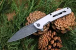 Kershaw Flyby 1404