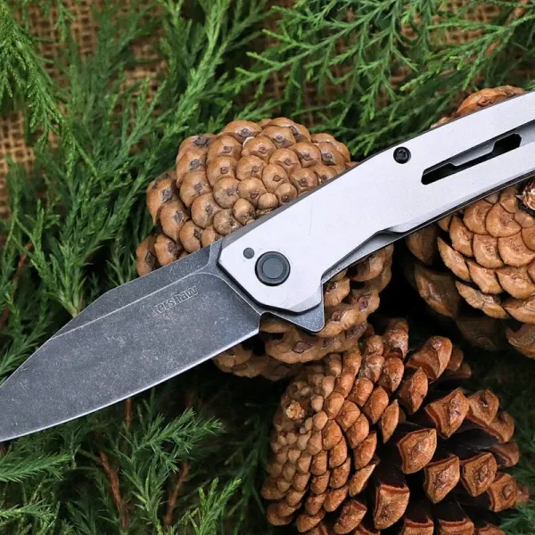 Kershaw Flyby 1404